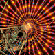 Illustration for article titled Photo Contest: Christmas Lights